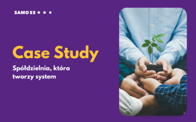 Nie czekali na idealne rozwiązania – zbudowali swoje. Spółdzielnia, która tworzy system